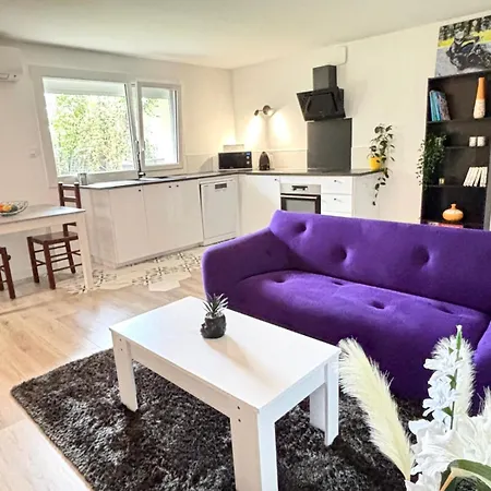 Le Charmant T3 Avec Jardin Prive Flourens Exterior photo