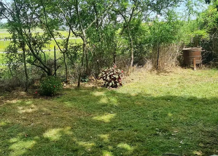 Le Charmant T3 Avec Jardin Prive