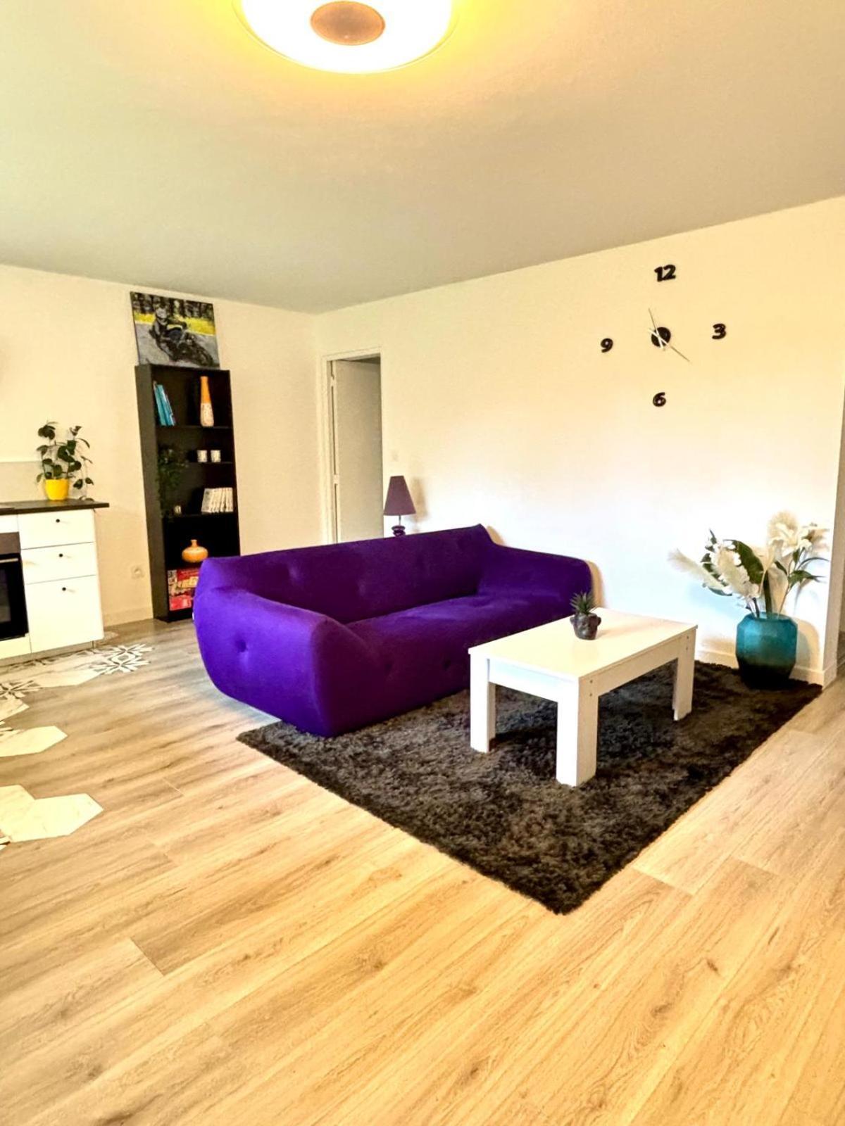 Le T3 Avec Jardin Prive Apartment
